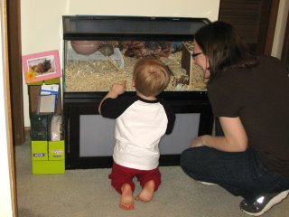 my nephew and the gerbils