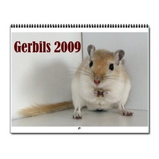 Twin Squeaks 2009 Gerbils Calendar