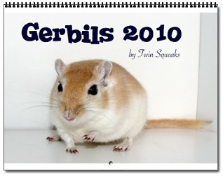 2010 Gerbils Calendar