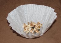 coffee filter with gerbil treats