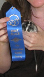 Gobo with his ribbon