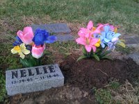 Nellie and Liza's graves
