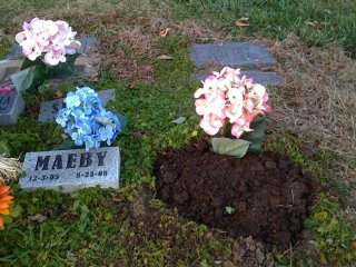 Maeby and Nellie's graves