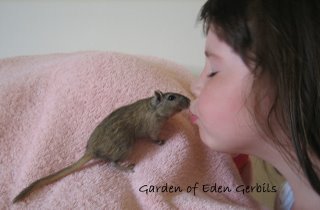 Truth gives a gerbil kiss