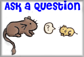 Ask A Question