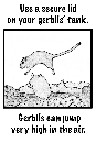 gerbil coloring page 9