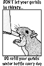 gerbil coloring page 1