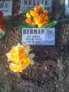 Sebastian's Burial Place Sebastian's burial place, next to his dad Herman